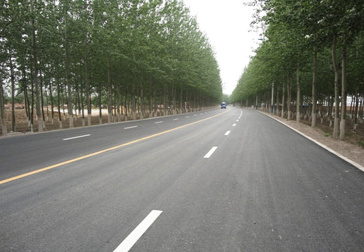 漕河镇道路绿化工程