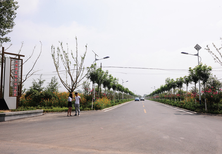 兖州大安镇道路